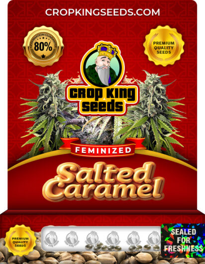 Salted Caramel Strain