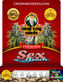 Sex On The Beach Strain