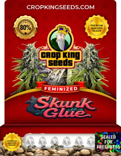 Skunk Glue Strain