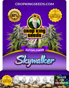 Skywalker Strain