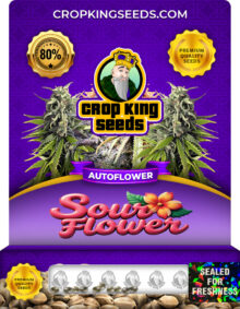 Sour Flower strain