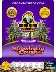 Strawberry Cough Strain