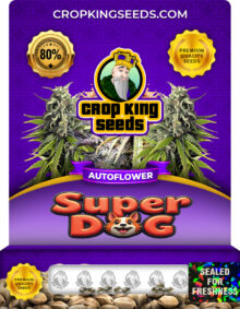 Super Dog Strain