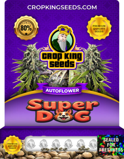 Super Dog Strain