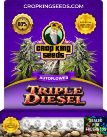 Triple Diesel Strain