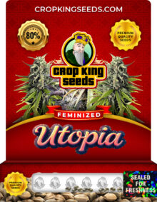Utopia Strain