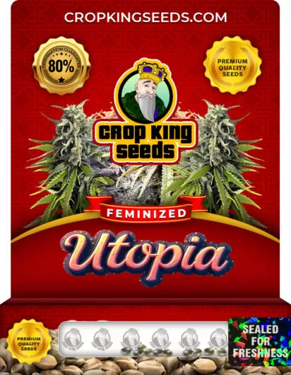 Utopia Strain