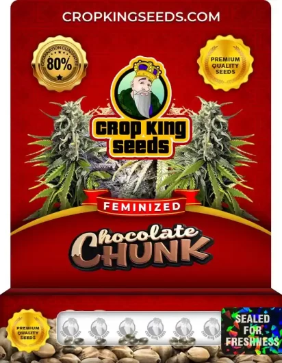 Chocolate Chunk Strain