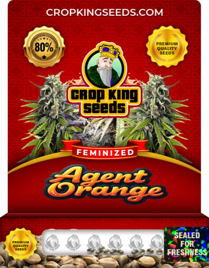 Agent Orange Strain