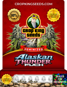 Alaskan Thunder Fuck Strain