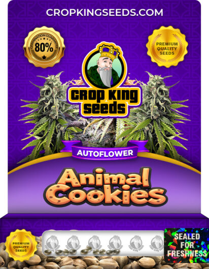 Animal Cookies Strain