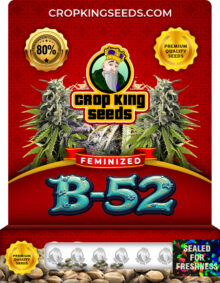 B-52 Strain