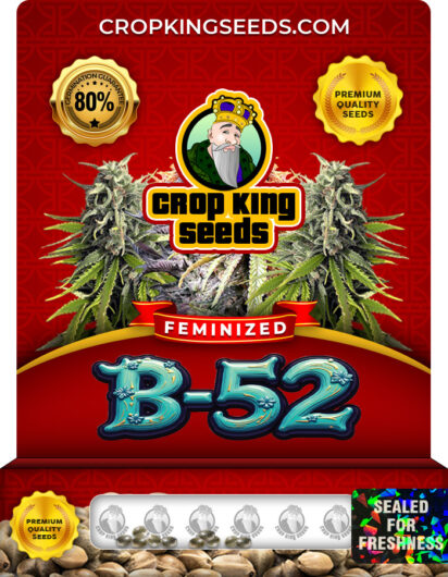 B-52 Strain
