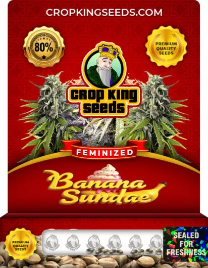 Banana Sundae Strain