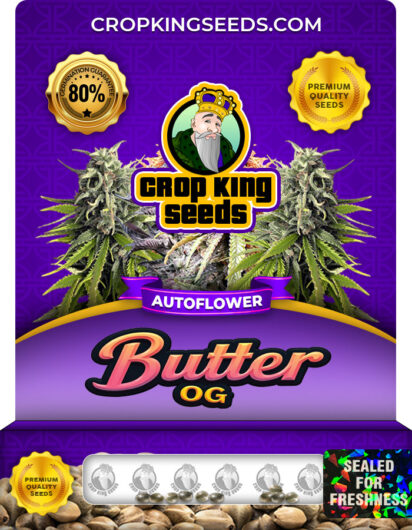 Butter OG Strain