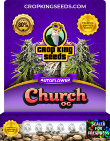 Church OG Strain