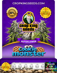 Cookie Monster Strain