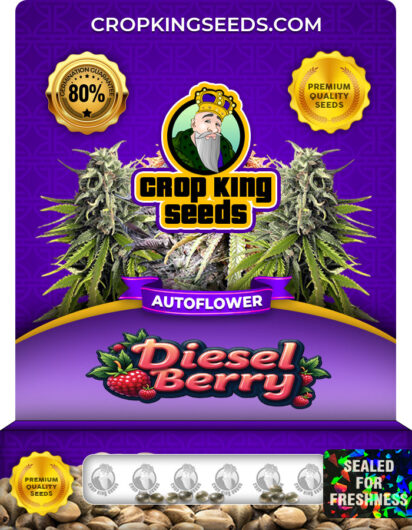 Diesel Berry Strain