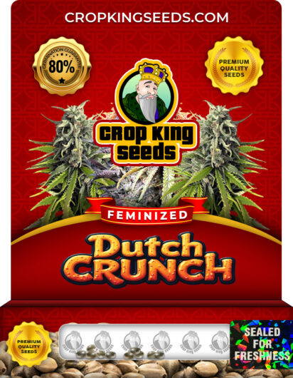 Dutch Crunch Strain