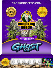Ghost OG Strain