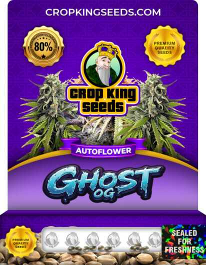 Ghost OG Strain