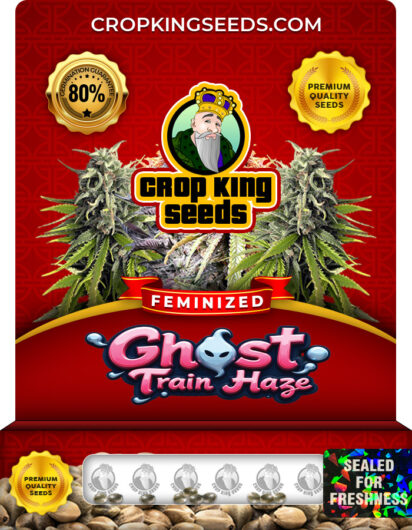 Ghost Train Haze