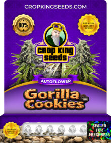 Gorilla Cookies Strain