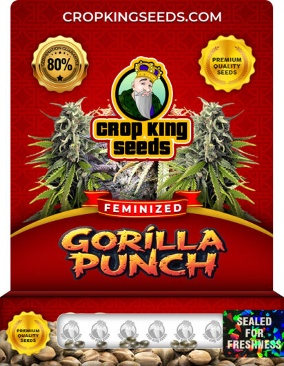 Gorilla Punch Strain