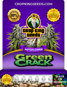 Green Crack Strain