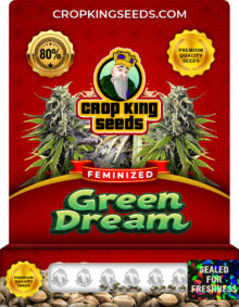 Green Dream Strain