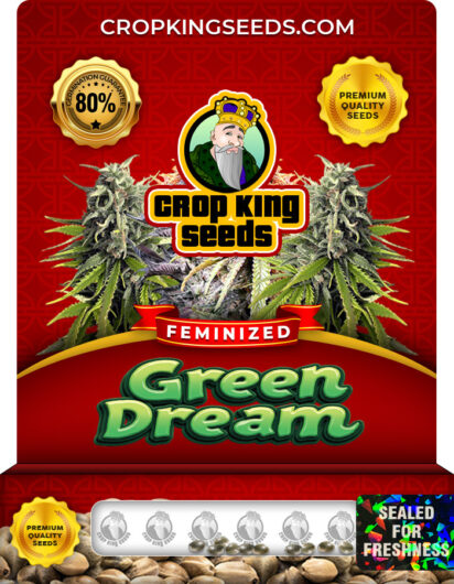 Green Dream Strain