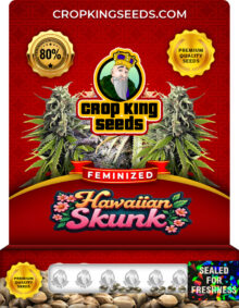 Hawaiian Skunk Strain