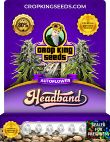 Headband Strain
