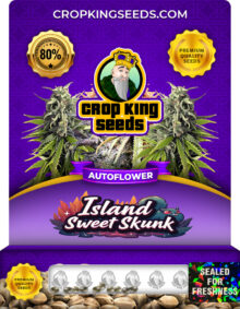 Island Sweet Skunk Strain