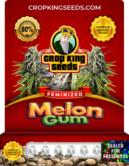 Melon Gum Strain