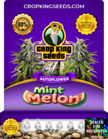 Mint Melon Strain