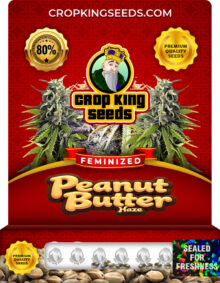 Peanut Butter Haze