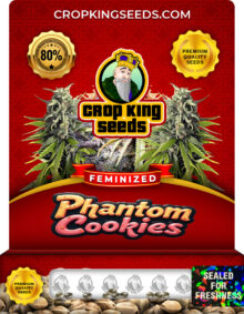 Phantom Cookies Strain