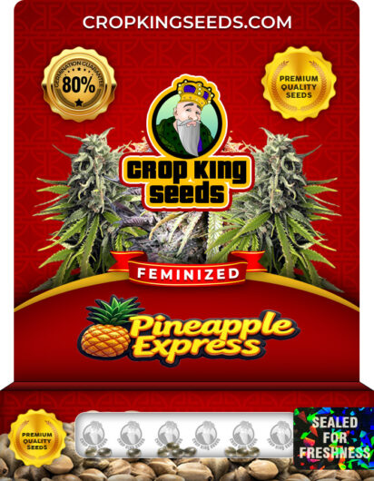 Pineapple Express Strain