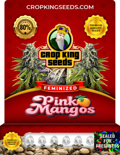 Pink Mango Strain