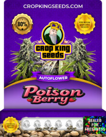 Poison Berry Strain