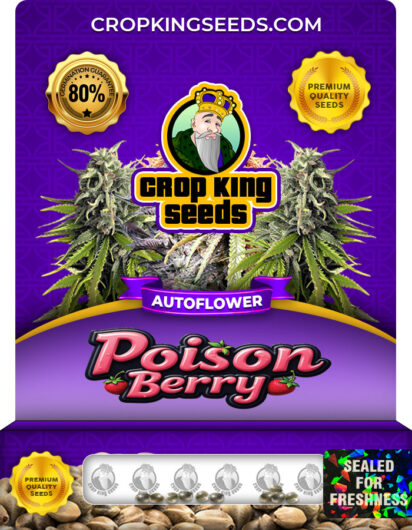 Poison Berry Strain