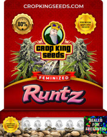 Runtz Strain