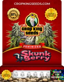 Skunk Berry Strain
