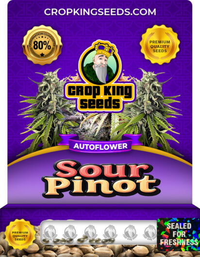Sour Pinot Strain