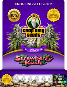 Strawberry Kush