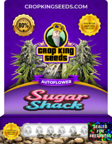 Sugar Shack Strain