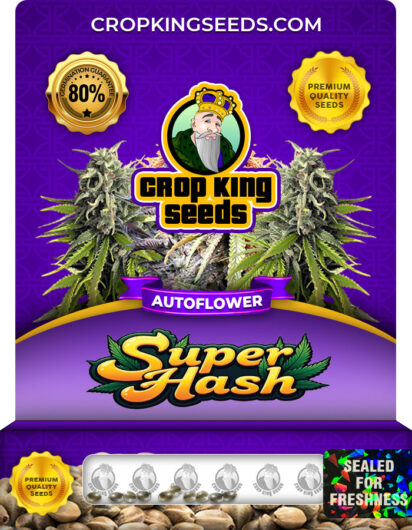 Super Hash Strain