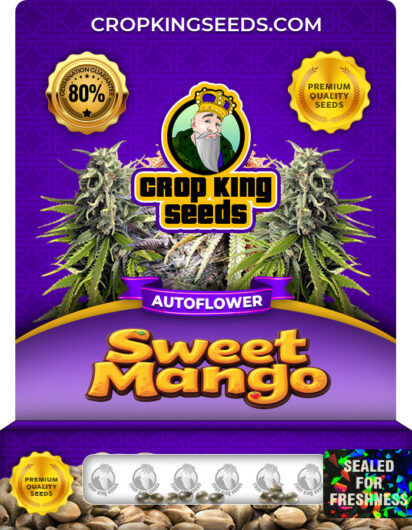 Sweet Mango strain