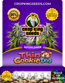 Thin Cookie Dog Strain